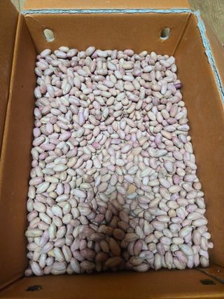 김창화님의 자유주제 · 자유게시판 작성글 사진