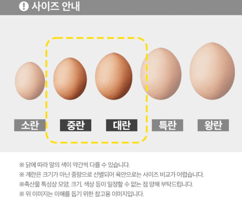 스피드번님의 장터 판매 상품 [명품 구운란] 첨부 사진