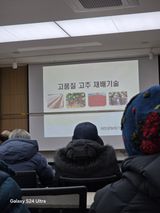 팜모닝 자유주제·자유게시판 게시글 이미지