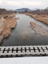 팜모닝 자유주제·자유게시판 게시글 이미지