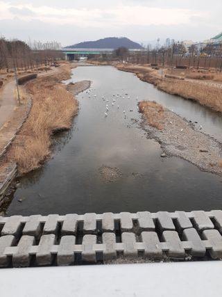 주흘산인님의 자유주제 · 자유게시판 작성글 사진