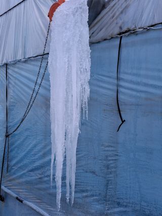 MSG0074님의 자유주제 · 자유게시판 작성글 사진