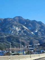 팜모닝 자유주제·자유게시판 게시글 이미지