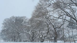 이정운님의 자유주제 · 자유게시판 작성글 사진