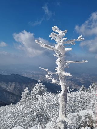 안길원님의 자유주제 · 자유게시판 작성글 사진