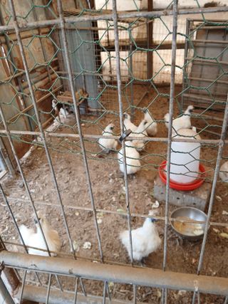 김영복님의 작성글 사진