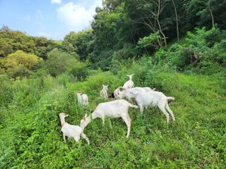 농지임대법님의 자유주제·자유게시판 작성글 사진