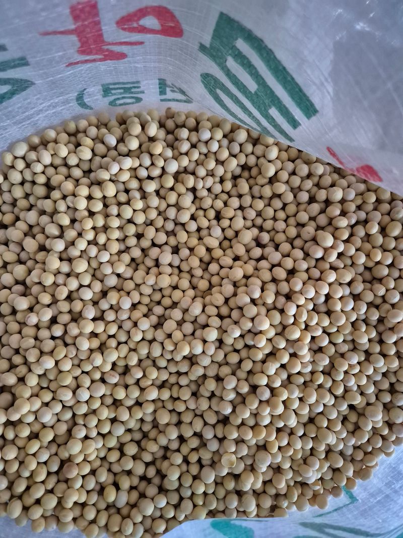 장터 상품 [백태 1kg] 썸네일