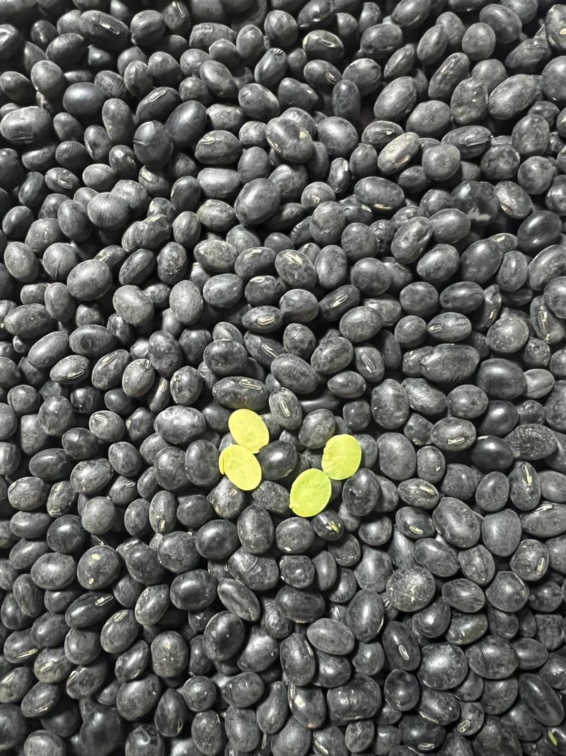 장터 상품 [서리태 ] 썸네일