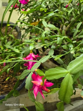 소병찬님의 자유주제 · 자유게시판 작성글 사진