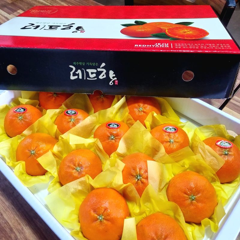 은동이님의 장터 판매 상품 [천혜향 3kg, 5kg / 레드향 3kg, 5kg 선물포장세트 또는 일반포장] 첨부 사진