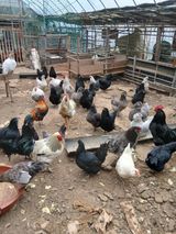 팜모닝 · 게시글 이미지