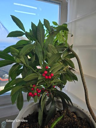 소병찬님의 자유주제 · 자유게시판 작성글 사진