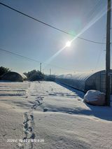 팜모닝 자유주제·자유게시판 게시글 이미지