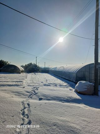 승기님의 자유주제 · 자유게시판 작성글 사진