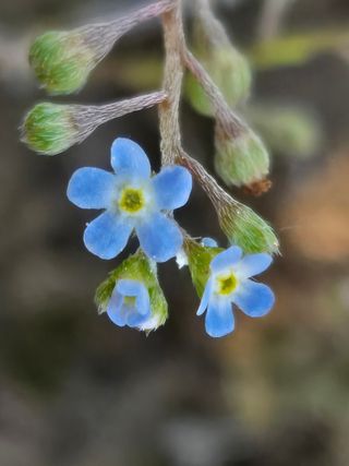 쌍둥이네농장님의 작성글 사진