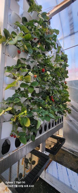 손정운님의 자유주제 · 자유게시판 작성글 사진