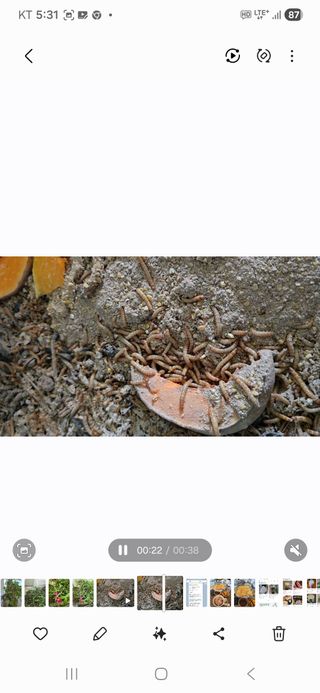 소병찬님의 자유주제 · 자유게시판 작성글 사진