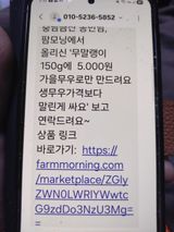 팜모닝 자유주제·자유게시판 게시글 이미지