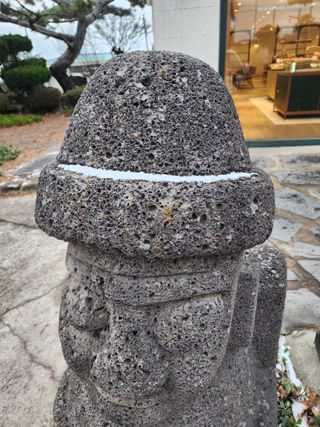 제주부자팜님의 자유주제 · 자유게시판 작성글 사진