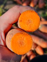 팜모닝 자유주제·자유게시판 게시글 이미지