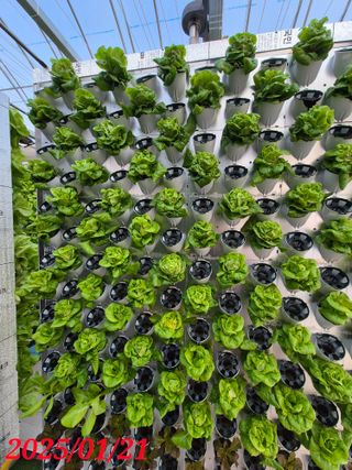 손정운님의 자유주제 · 자유게시판 작성글 사진