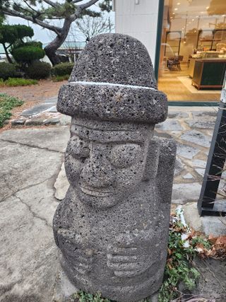 제주부자팜님의 자유주제 · 자유게시판 작성글 사진