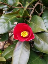 팜모닝 자유주제·자유게시판 게시글 이미지