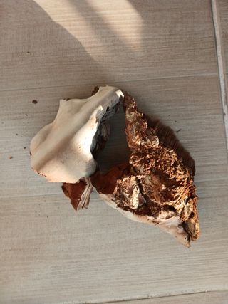 박진태님의 농사, 무엇이든 물어보세요! · 참여글 작성글 사진