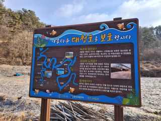 MSG0074님의 자유주제 · 자유게시판 작성글 사진