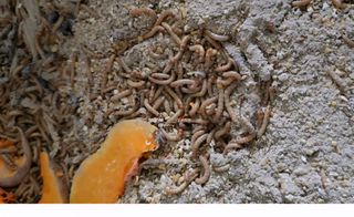 소병찬님의 자유주제 · 자유게시판 작성글 사진