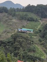 팜모닝 · 게시글 이미지