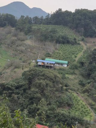 쌍둥이네농장님의 작성글 사진