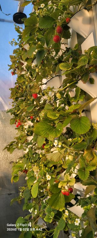 손정운님의 자유주제 · 자유게시판 작성글 사진