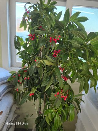 소병찬님의 자유주제 · 자유게시판 작성글 사진