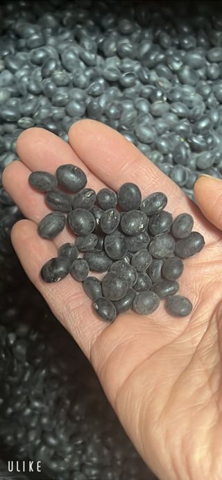 강원도김지원님의 자유주제 · 자유게시판 작성글 사진