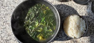 달맛햇복숭아농원님의 자유주제 · 자유게시판 작성글 사진