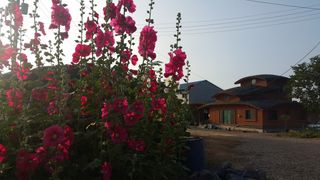 농민님의 자유주제 · 자유게시판 작성글 사진