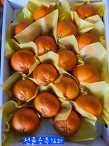 팜모닝 자유주제·자유게시판 게시글 이미지