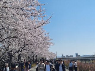 국중선님의 자유주제 · 자유게시판 작성글 사진