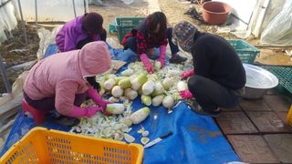 농민님의 자유주제 · 자유게시판 작성글 사진