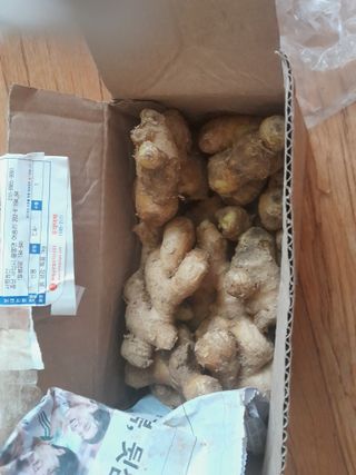 김영례님의 자유주제 · 자유게시판 작성글 사진