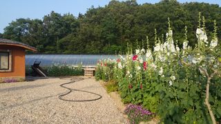 농민님의 자유주제 · 자유게시판 작성글 사진