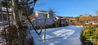 달맛햇복숭아농원님의 자유주제 · 자유게시판 작성글 사진