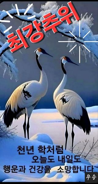 진용웅님의 자유주제 · 자유게시판 작성글 사진