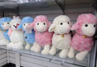 MSG0074님의 자유주제 · 자유게시판 작성글 사진