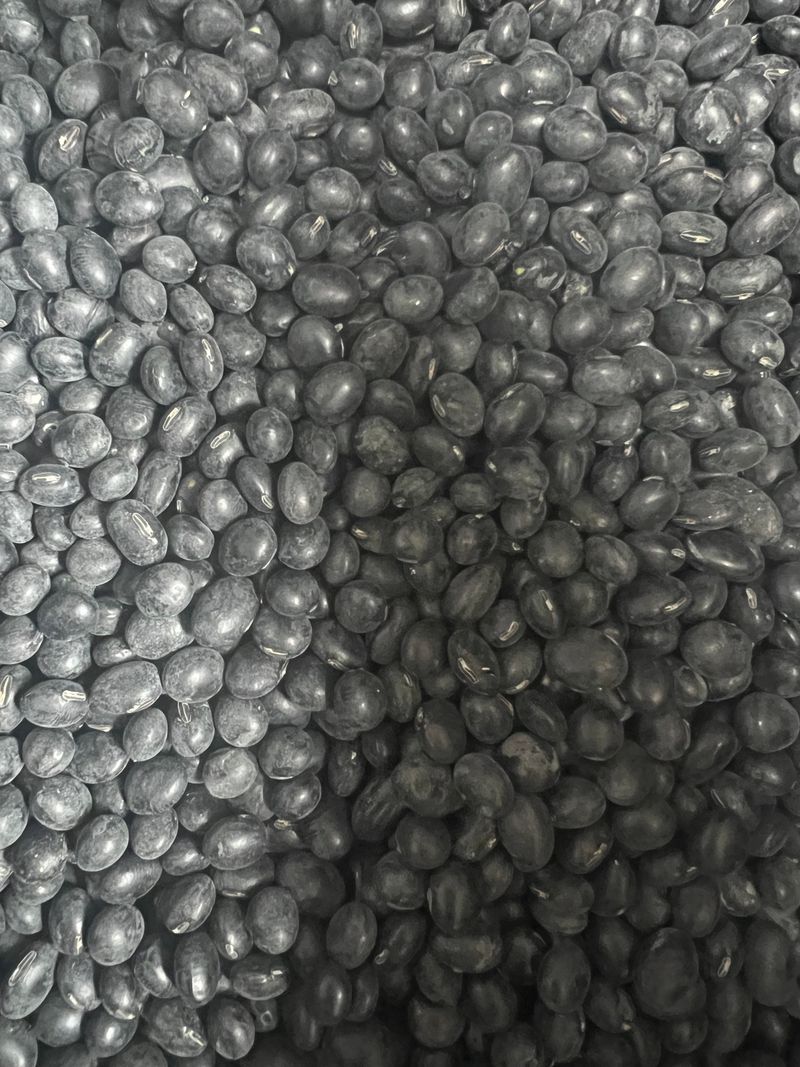 박금선 님의 장터 판매 상품 [서리태(검은콩)5kg] 첨부 사진