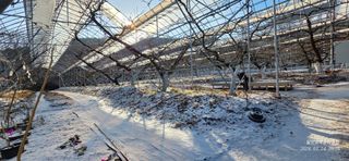 달맛햇복숭아농원님의 자유주제 · 자유게시판 작성글 사진