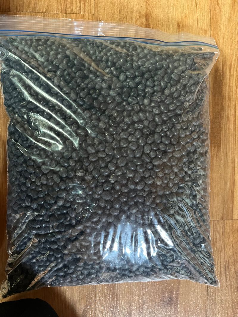 박금선 님의 장터 판매 상품 [서리태(검은콩)5kg] 첨부 사진