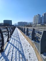 팜모닝 자유주제·자유게시판 게시글 이미지